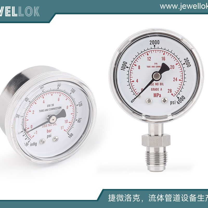 BA级不锈钢316L高纯特气隔膜阀减压阀止回阀供应商 (30)