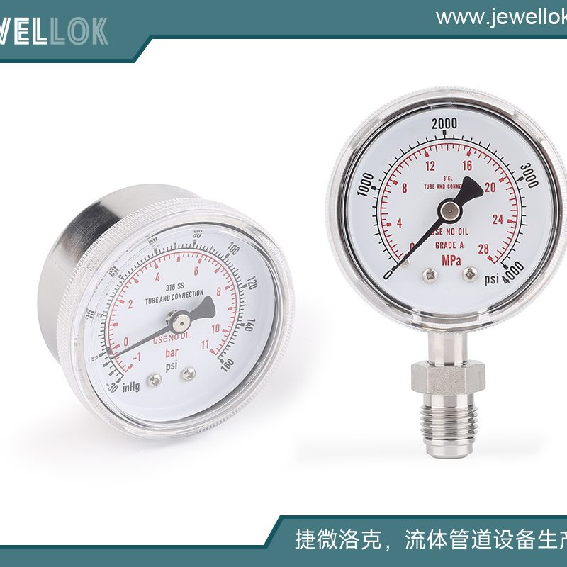 BA级不锈钢316L高纯特气隔膜阀减压阀止回阀供应商 (78)